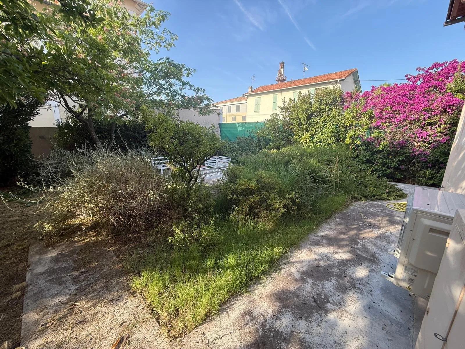 Massif envahi d'herbes hautes et d'arbustes en friche qui cachent le salon de jardin, avant travaux